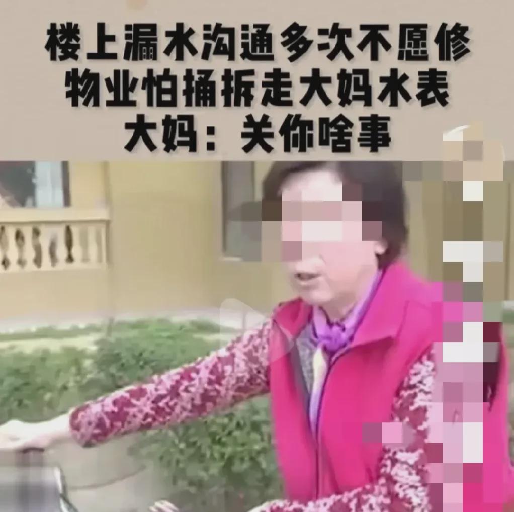 河北石家庄，一大妈家里的水表被物业拆走了，半个月都没水用，天天爬四楼，想想都累，