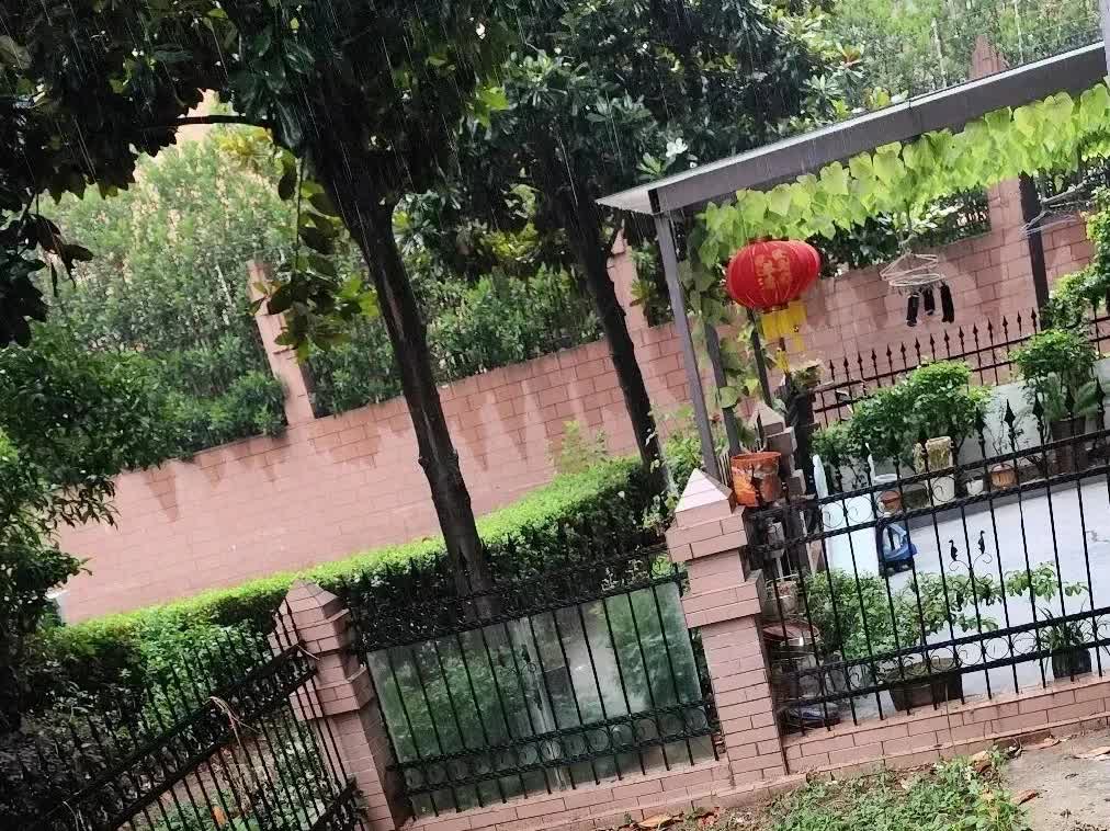 安徽，一名男子在自家的院子里种了一些蔬菜，不料，这却引起了隔壁邻居的不满。邻居表