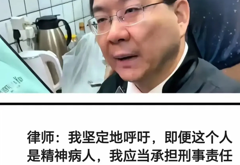 这位律师说得特别在理！他强烈提议，就算是精神病人犯了罪，也得承担刑事责任！首先，
