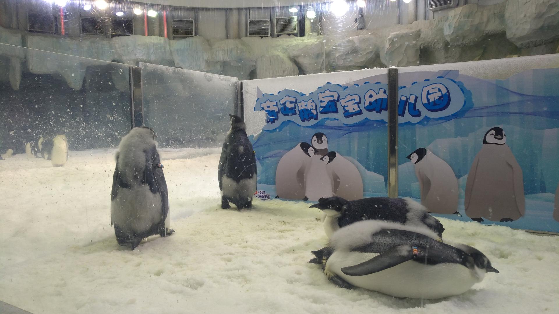 世界那么大，别只是看看！