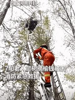 “火到人民日报了！”2025年河南，一7旬老人爬树摘榆钱，结果刚摘了几个，就发现
