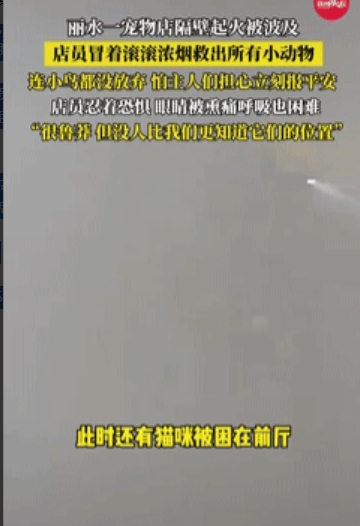 “活该这老板挣钱！”浙江丽水，一宠物店的隔壁突然着火，火势很快而波及到宠物店，谁