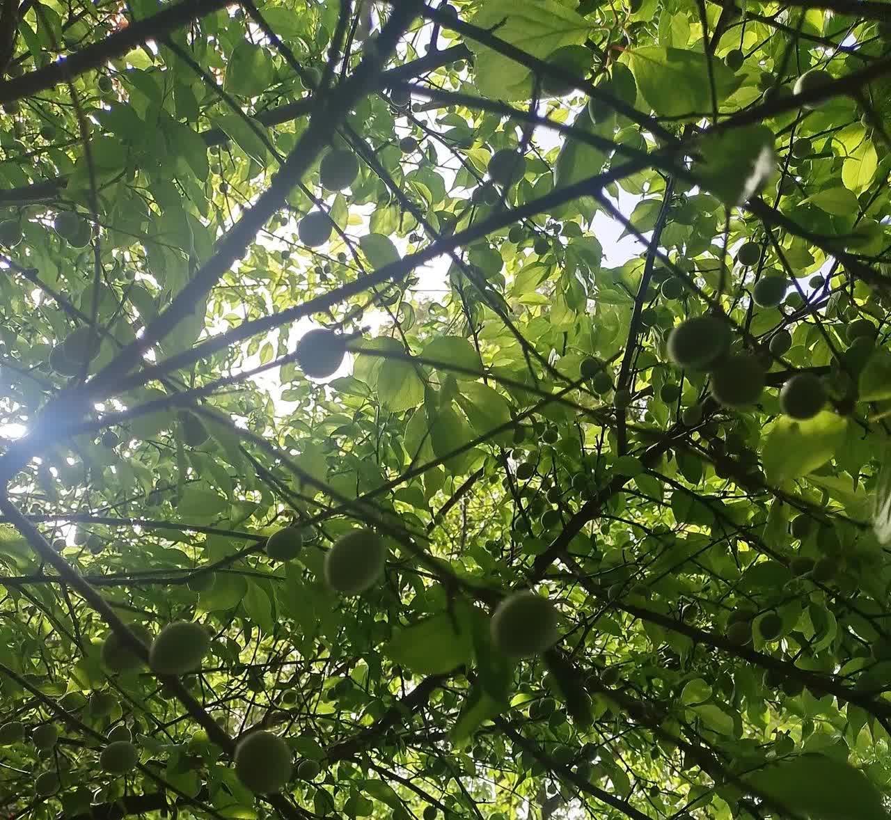谈谈学车的尴尬和委屈
驾照拿到手九年，车开了九年，看起来挺有成就感，可谁知练车