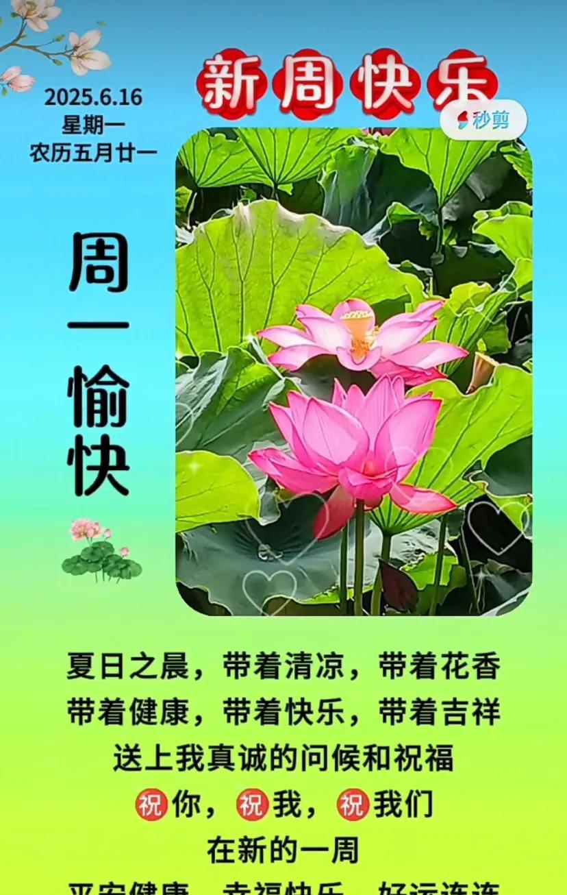 周一愉快！愿你生活如玫瑰般绚烂多彩。