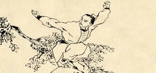 清雍正年间，白泰官武功盖世，没有对手。一次路边偶遇一男孩练功，暗暗吃惊：这个孩子