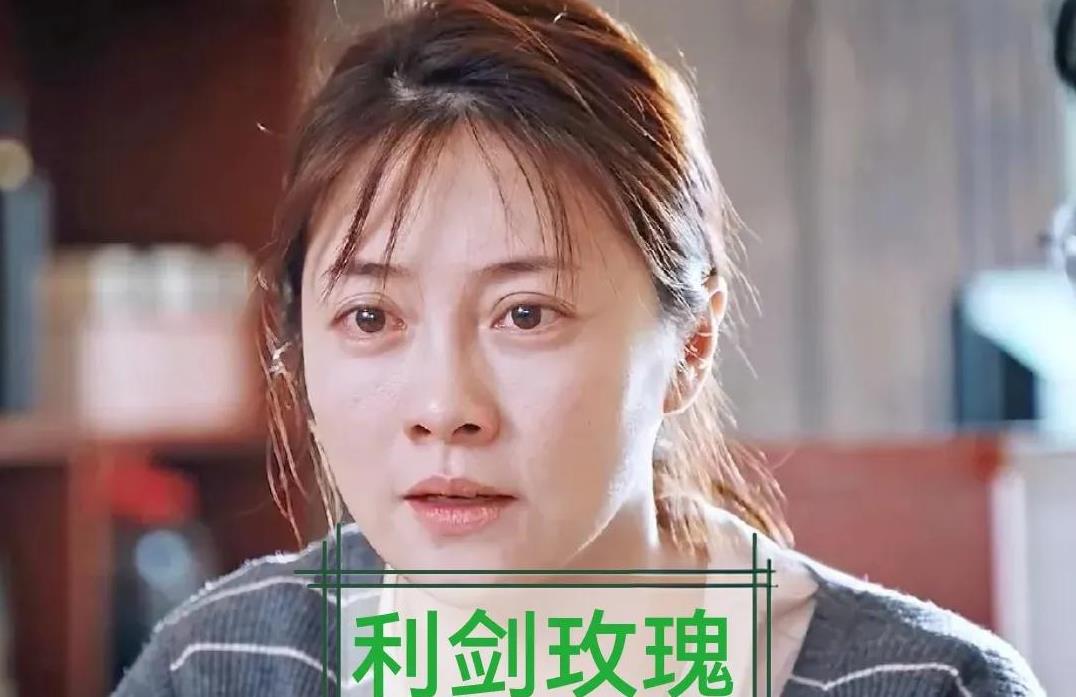 追剧《利剑玫瑰》   自称志愿者的赵志龙找到小洋芋的父母，说自己的表弟知道小洋芋