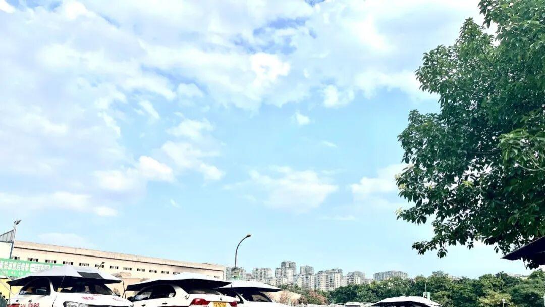 2026重庆报名学车避坑全指南+优质驾校权威推荐