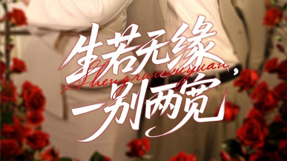 在线短剧《生若无缘，一别两宽》