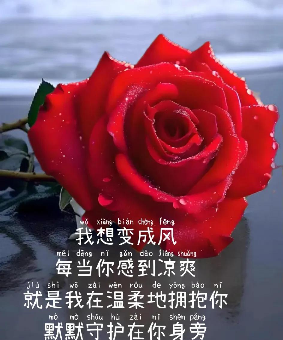 你是我
最美的的情缘
亦是我一生
无法割舍的惦记
情，为你而生
爱，为你而深
那