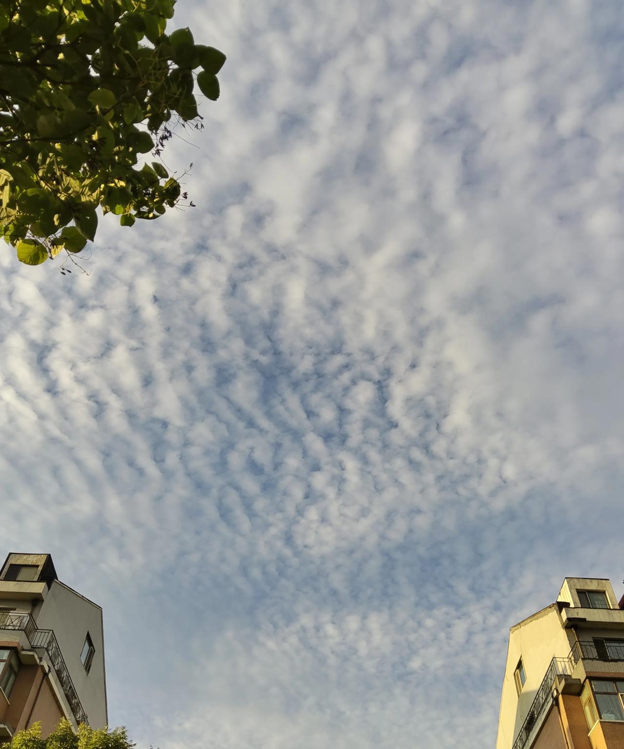 哈尔滨今天气温又回升了！
最高气温打到28℃，没有风很舒适
正赶上是周末，外出去
