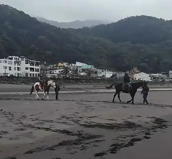 小杨阿姨在线通报月儿姐弟俩的现状，这个周末，她带着俩孩子去骑马了，地点是台北的宜