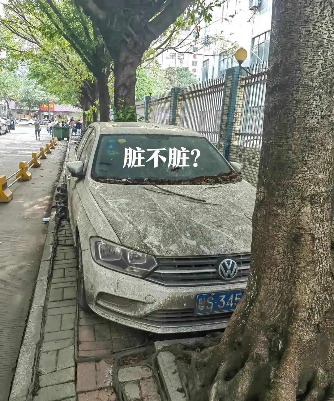 别看平时在2颗树之间，
没有烈日暴晒，也不用停车费，
等到凶猛一点的台风，那就麻