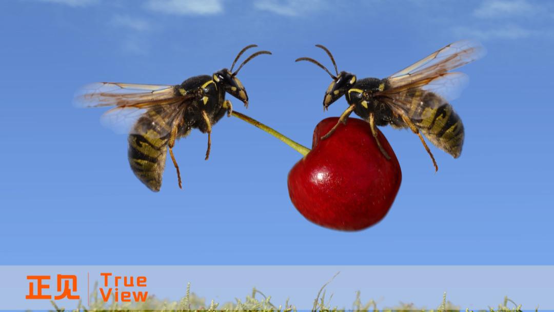 格力失速小米紧追，传统制造与智能生态的一哥之争