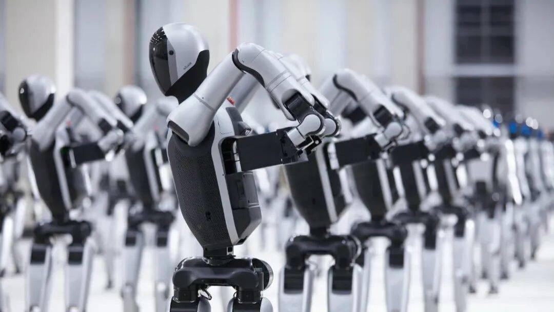 具身智能@2025：「人机共生」前夜