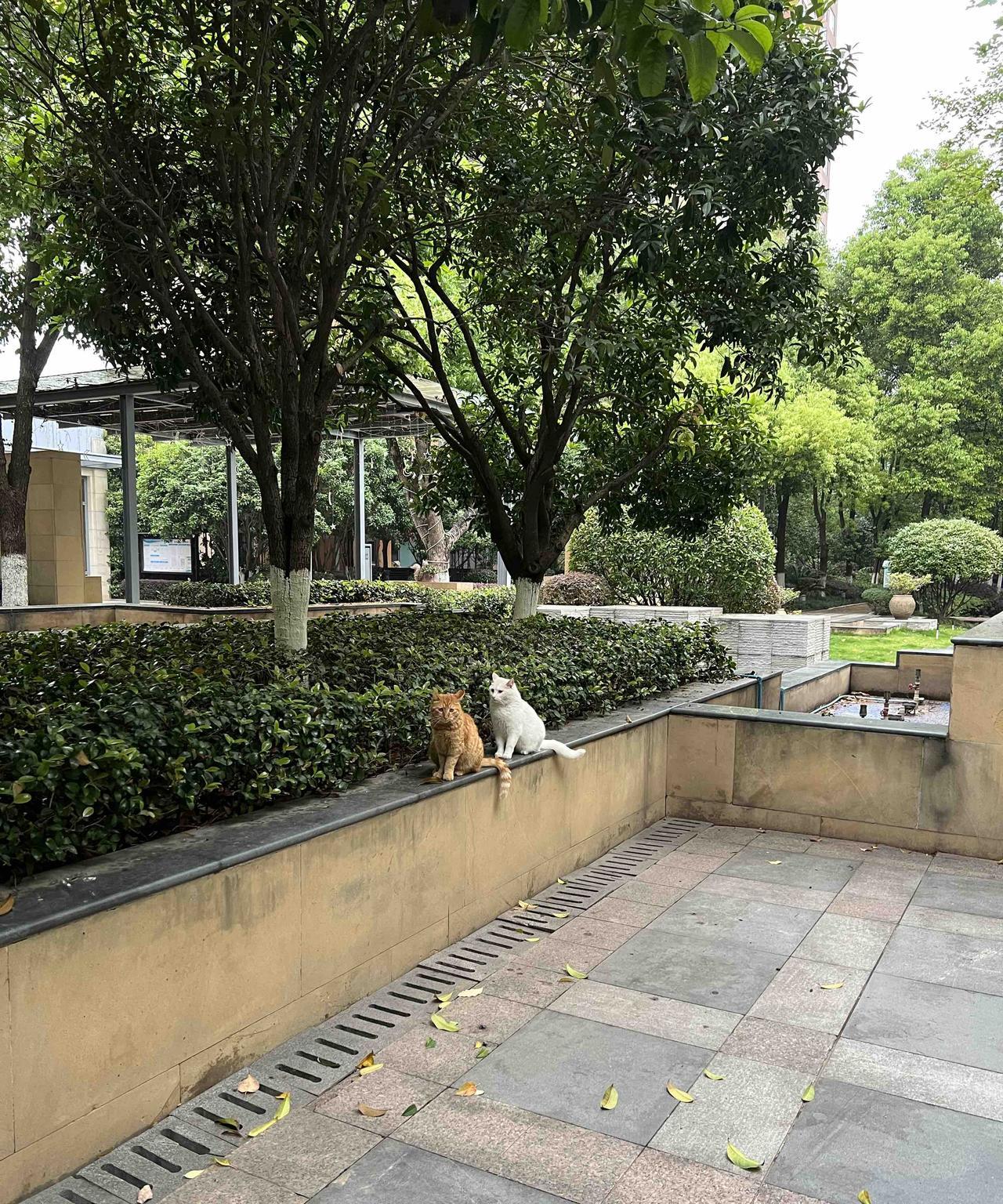小何50岁左右，很勤快，做事认真，所以积累了很多老客户，每天排得满满的，不愁没有