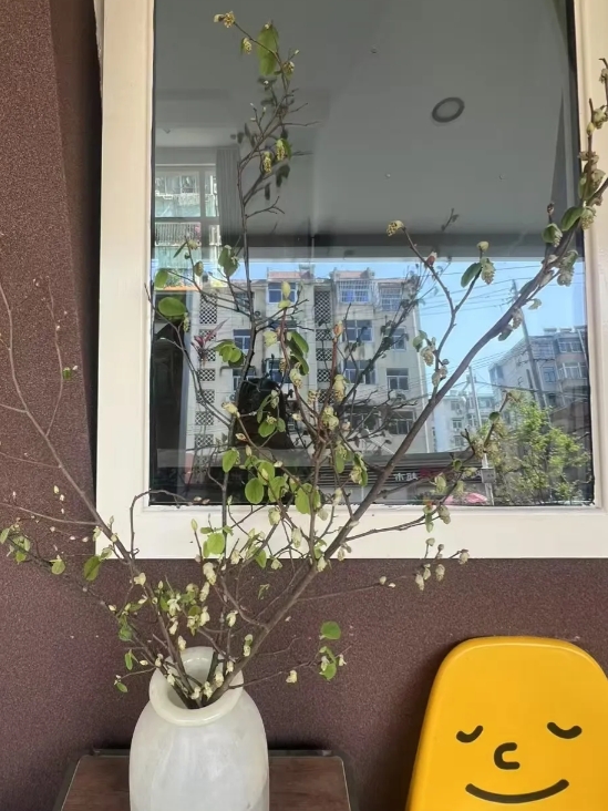 凌晨四点被电话铃声惊醒，老公的手机响的，老公说是婆婆打的，我心里一惊：难道公公怎