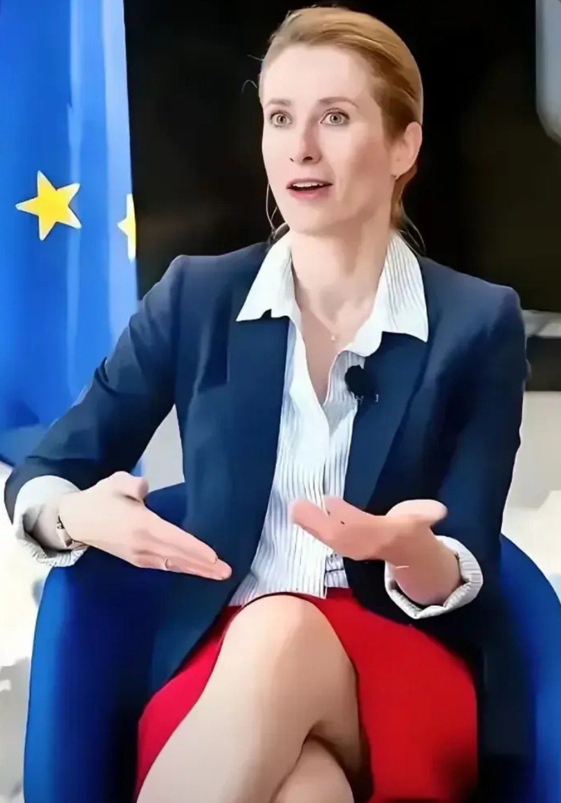近日，欧盟外长卡拉斯在访问美国时说“美国不适合领导自由”，并批评美国领导人“缺乏