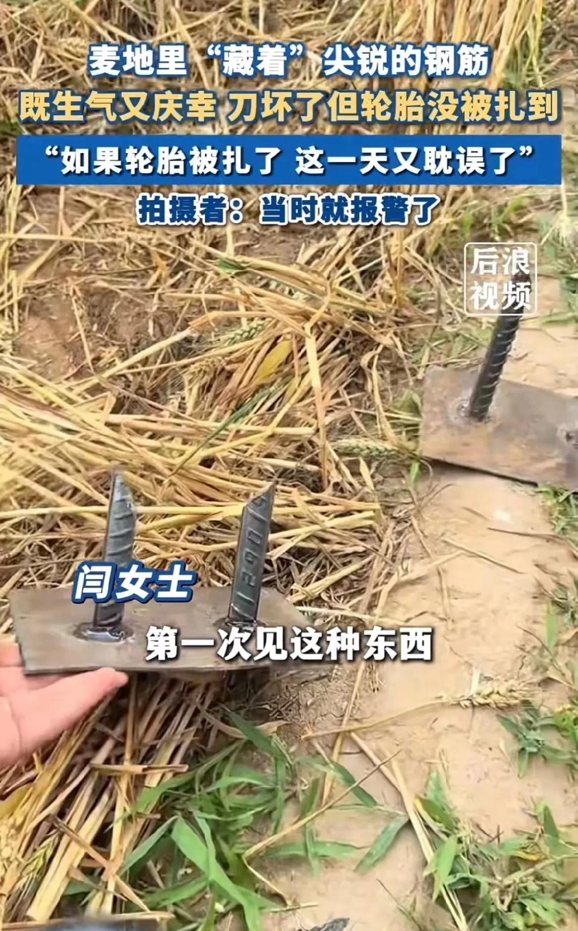 不要低估人性之恶
麦田里的“圈套”，二十公分长锋利的钢筋焊接在铁板上，然后放置在