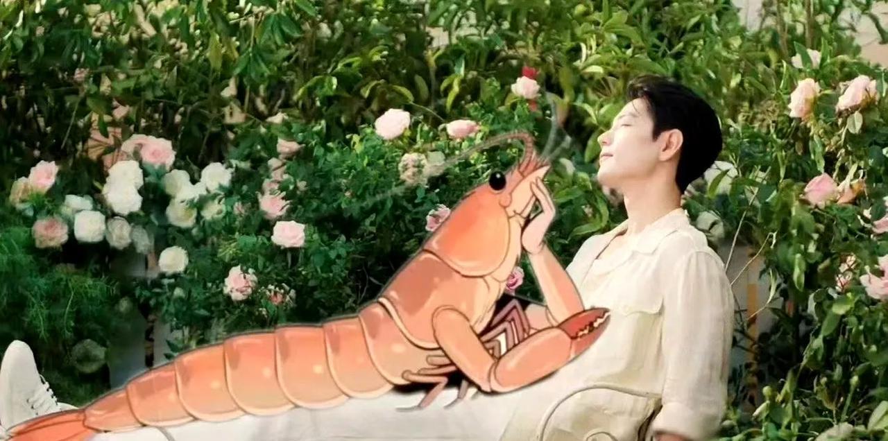 哈哈哈！这个图好好笑啊！这只虾虾有点肥啊！胆也肥，它好会享受啊！趴哥哥身上盯着哥