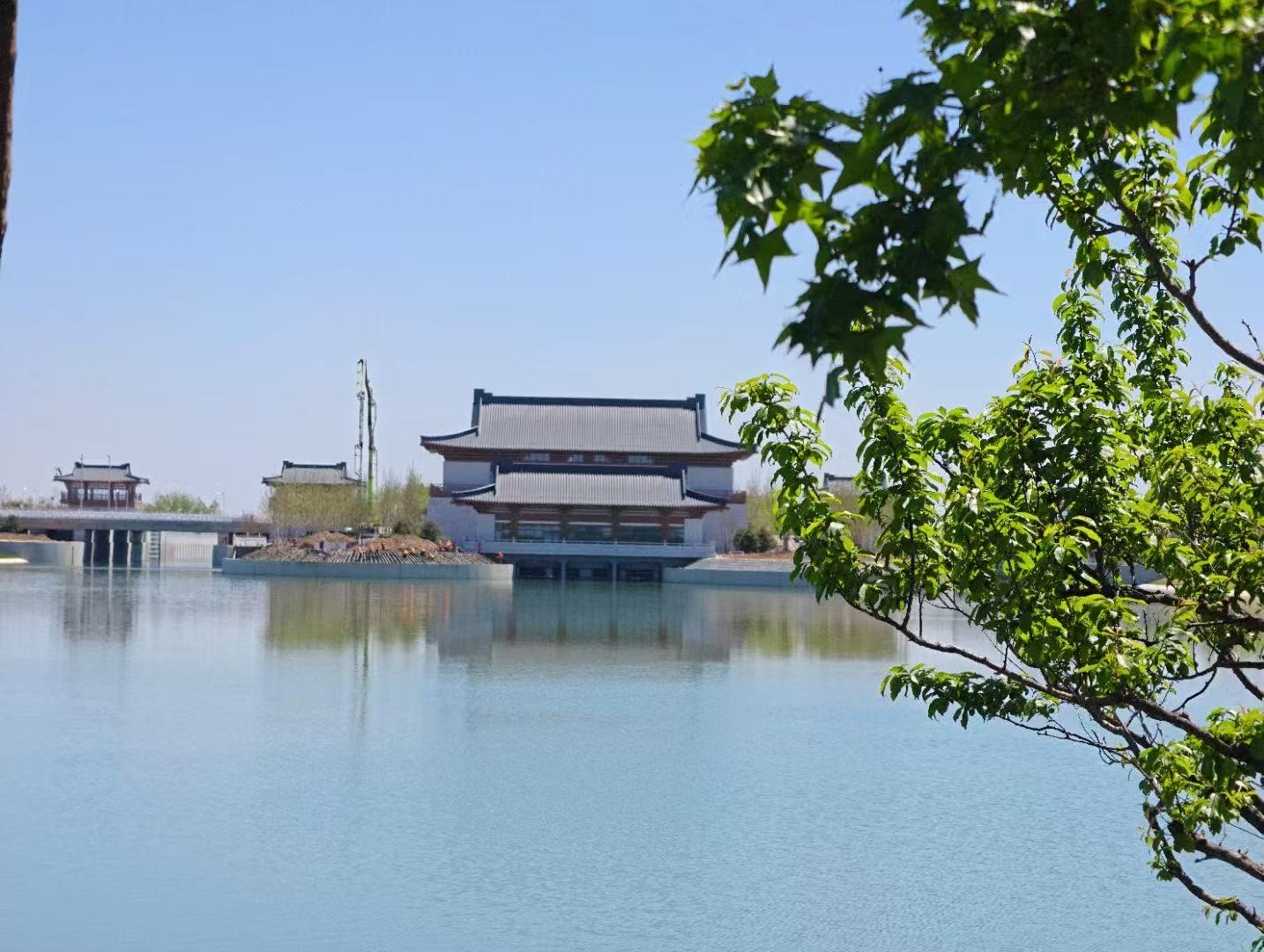 四川雄安新区春芳园 | 绝美打卡地攻略🌸