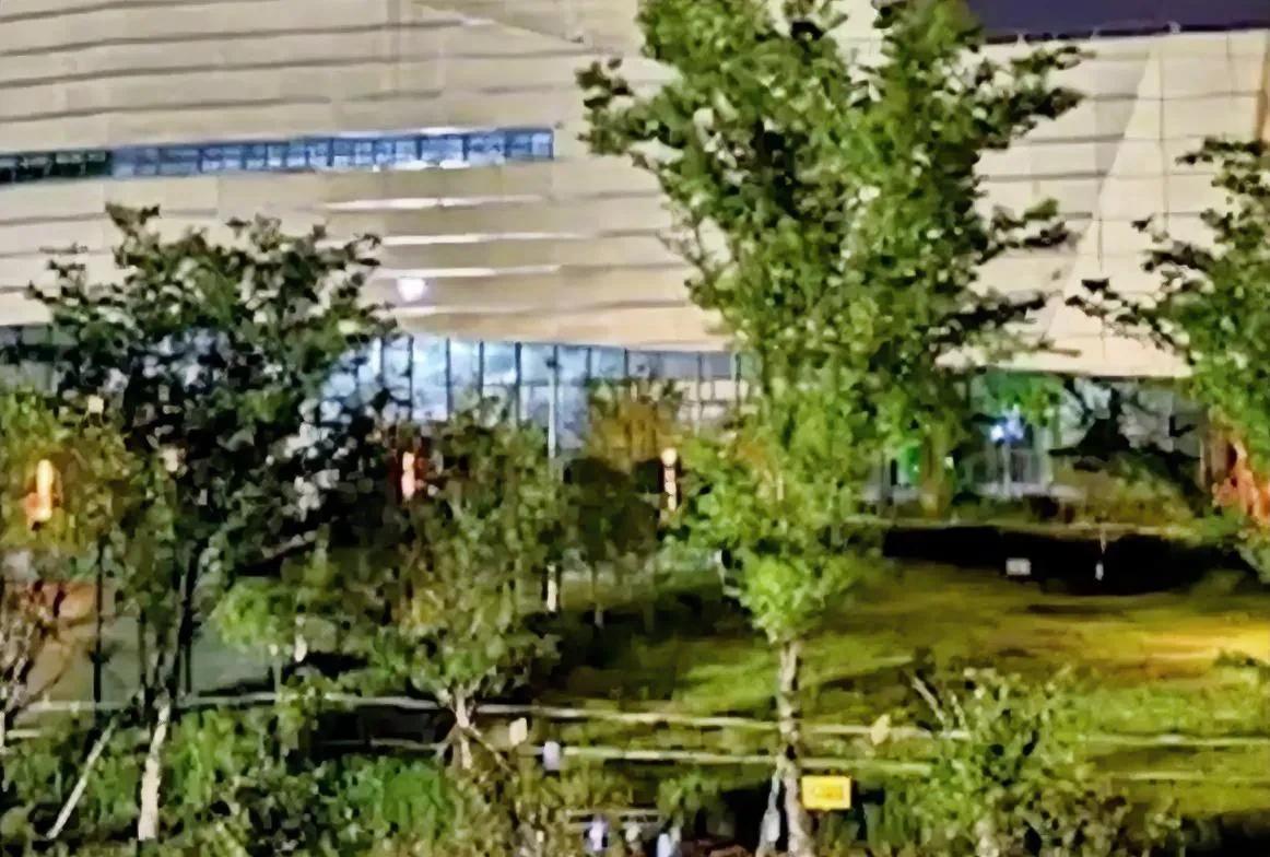就读于重庆某大学的他，从五月十九日那一天算起，那再有二十天就是他二十岁的生日。如