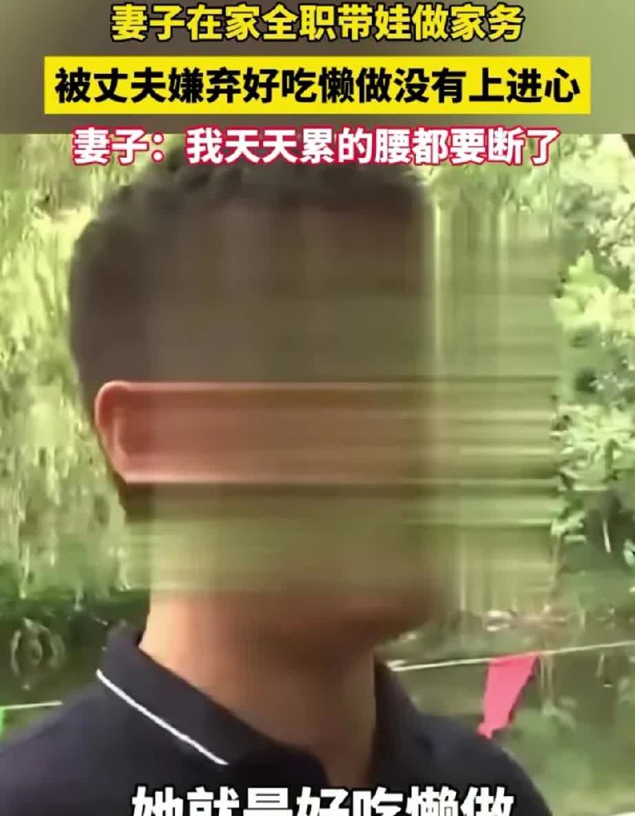 呵呵，男子嫌弃老婆专职带娃懒，夸自己同事预产期到了还在工作，生娃后，天天下班买菜