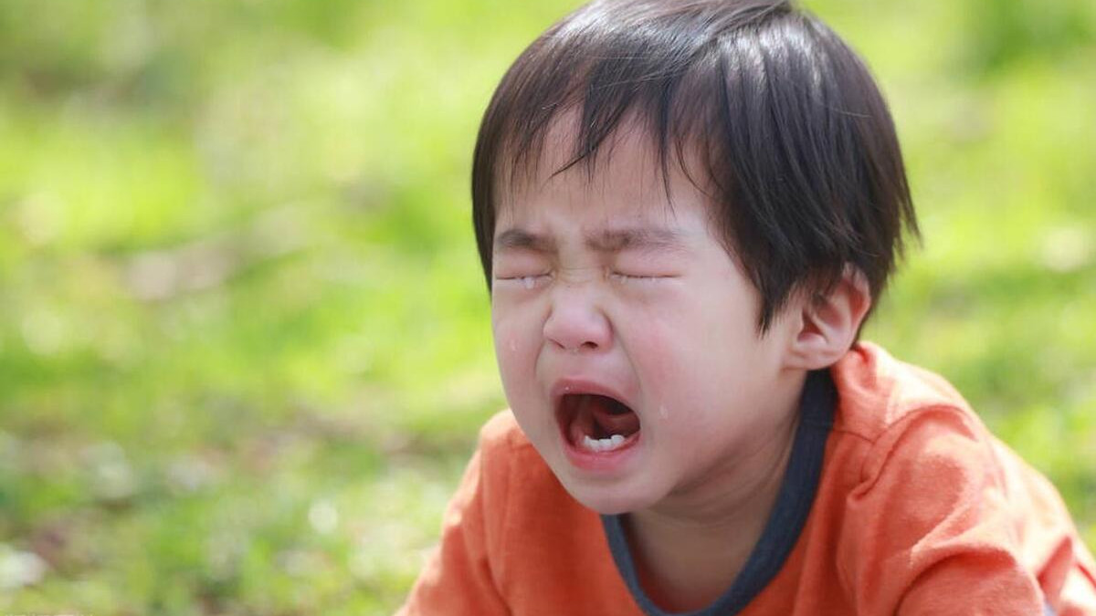 母亲离家出走爸爸喝农药，儿子含恨寻母23年，得知真相崩溃大哭