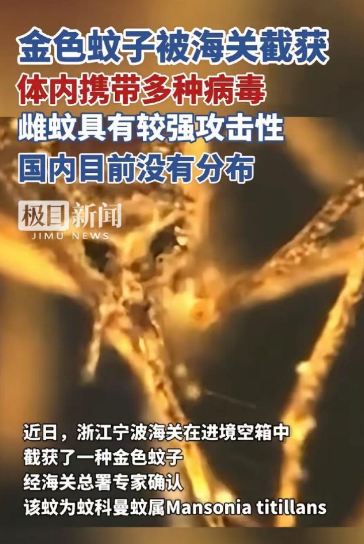 又是美国，又是病毒，这次不是实验室，是一整船“带毒蚊子”直接开到中国宁波！

你