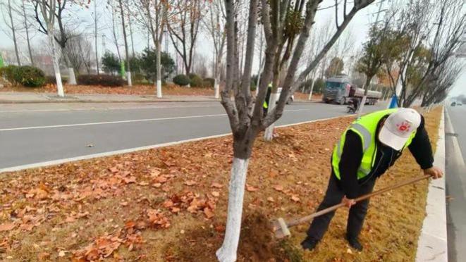 太和县城管局园林养护中心开展冬季园林护绿行动