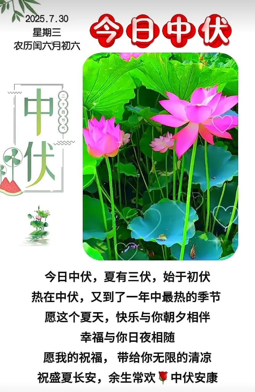 今日中伏，愿你安然度夏，幸福安康！