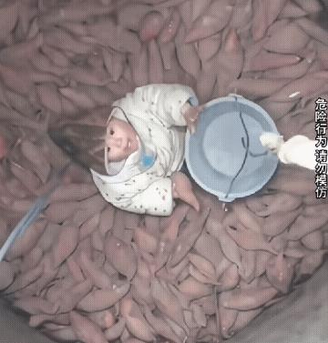 这是不是你小时候干过的事？宝宝被放到地窖里帮大人拿红薯，这一幕一定会勾起不少人的