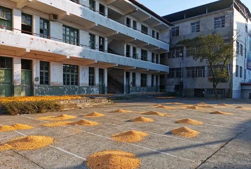 学生20人左右教师却30人左右的农村学校没必要撑下去了。全国约10%的村小存在老