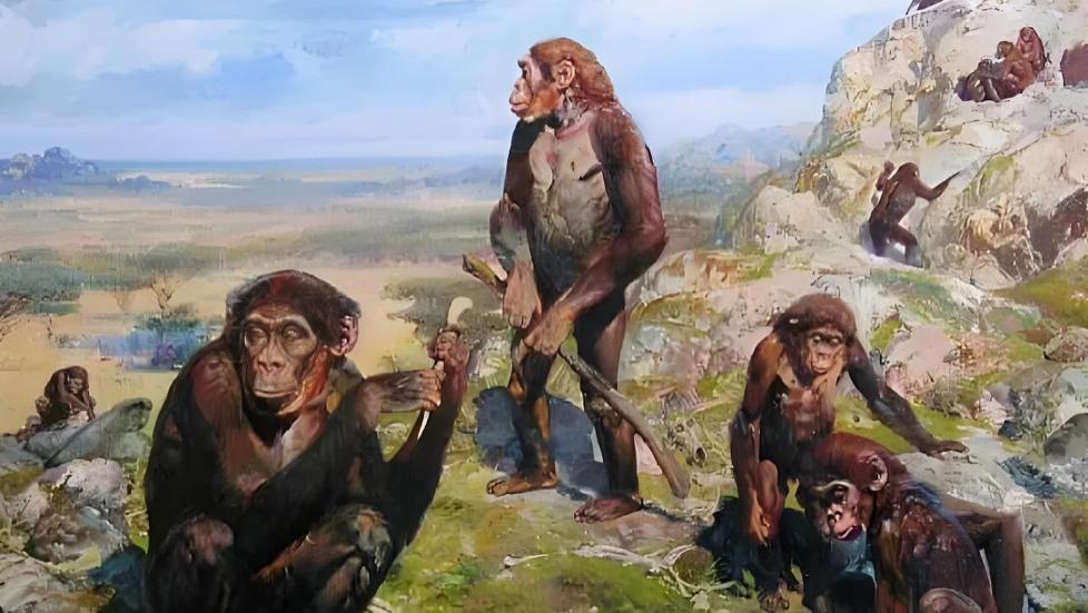 草原上的资源，如何改写人类进化史？