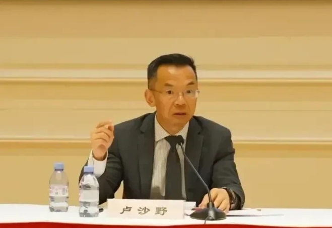美国虐欧千百遍，欧待美国如初恋！

卢沙野特使一席话，道出了美欧关系血淋淋的真相