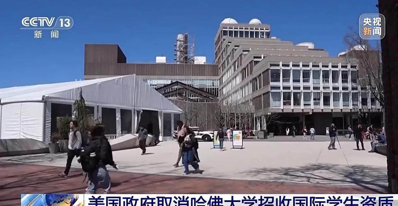 这泼天的流量就让中国接吧！漂亮国刚取消哈佛大学的国际学生招生资质，中国香港科技大