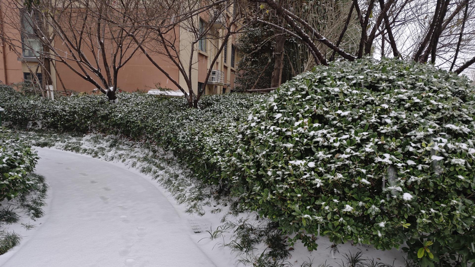 下雪天，听卖肉师傅谈猪肉价格与房地产的关联，我悟了
