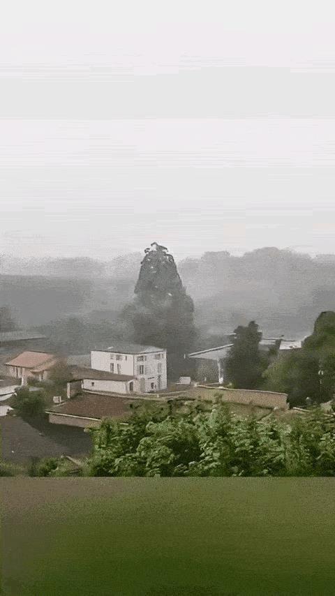 什么叫霹雳手段？什么叫雷霆之威？看完这个画面之后，才真正明白了字面上的含义，这东