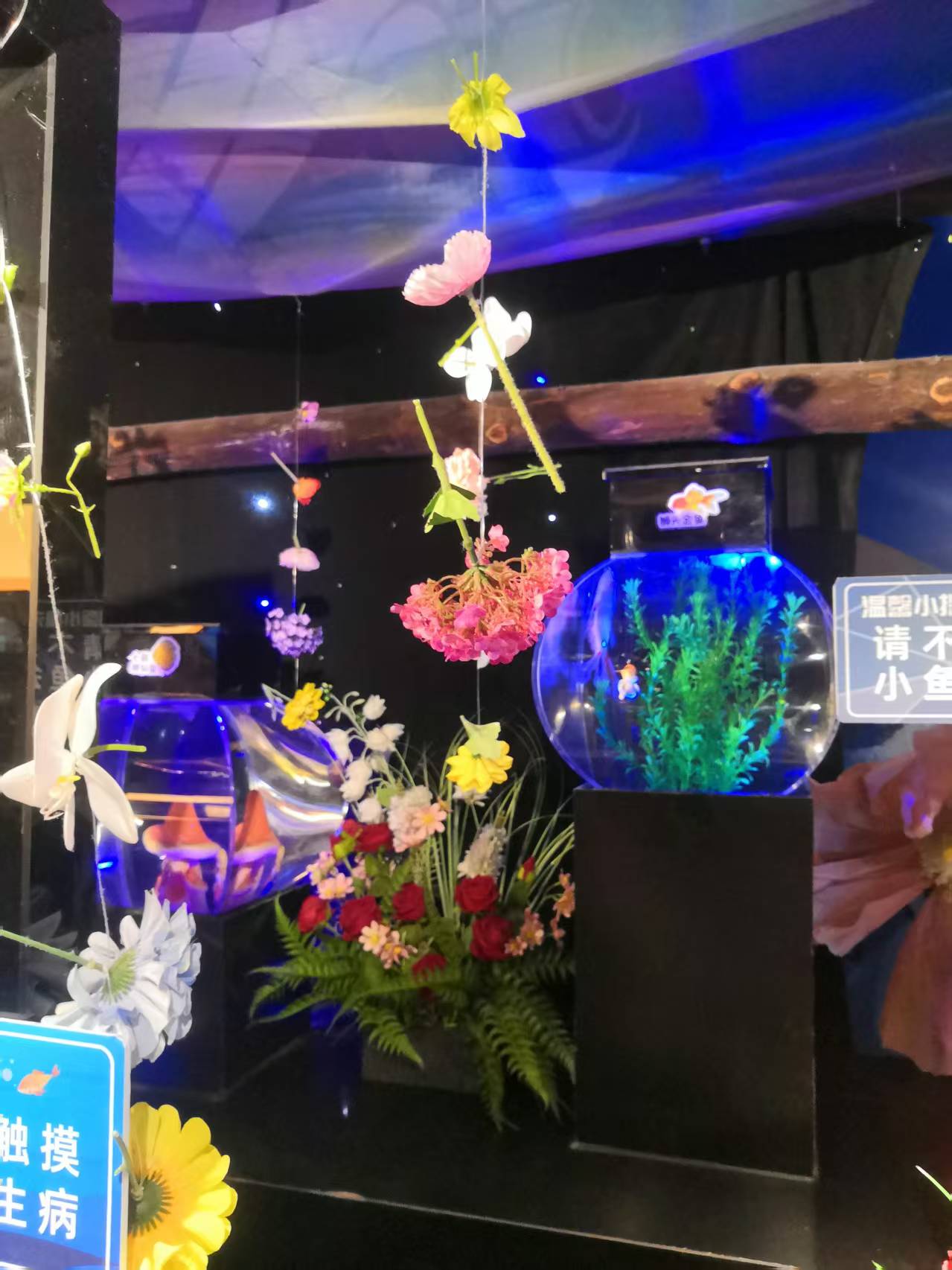 付出已经不重要，那些生动的故事也随风飘走，只剩下感恩深植肌肤，在每一个夜晚降落