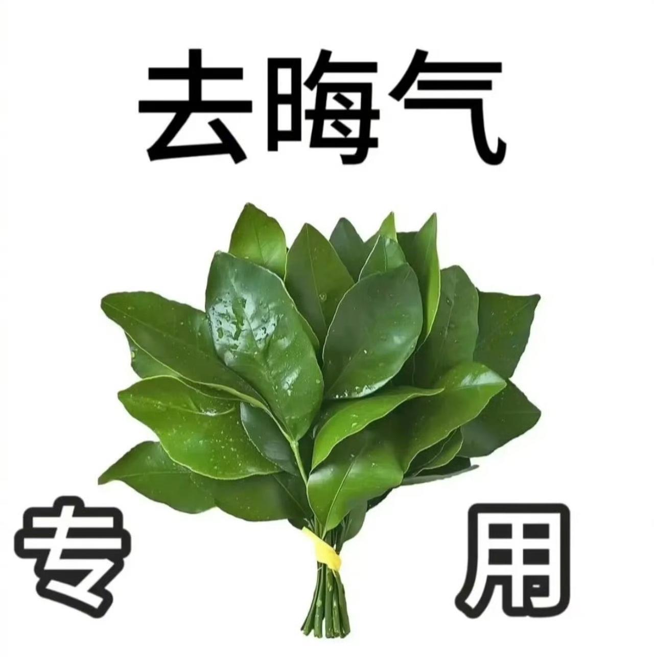 除晦气