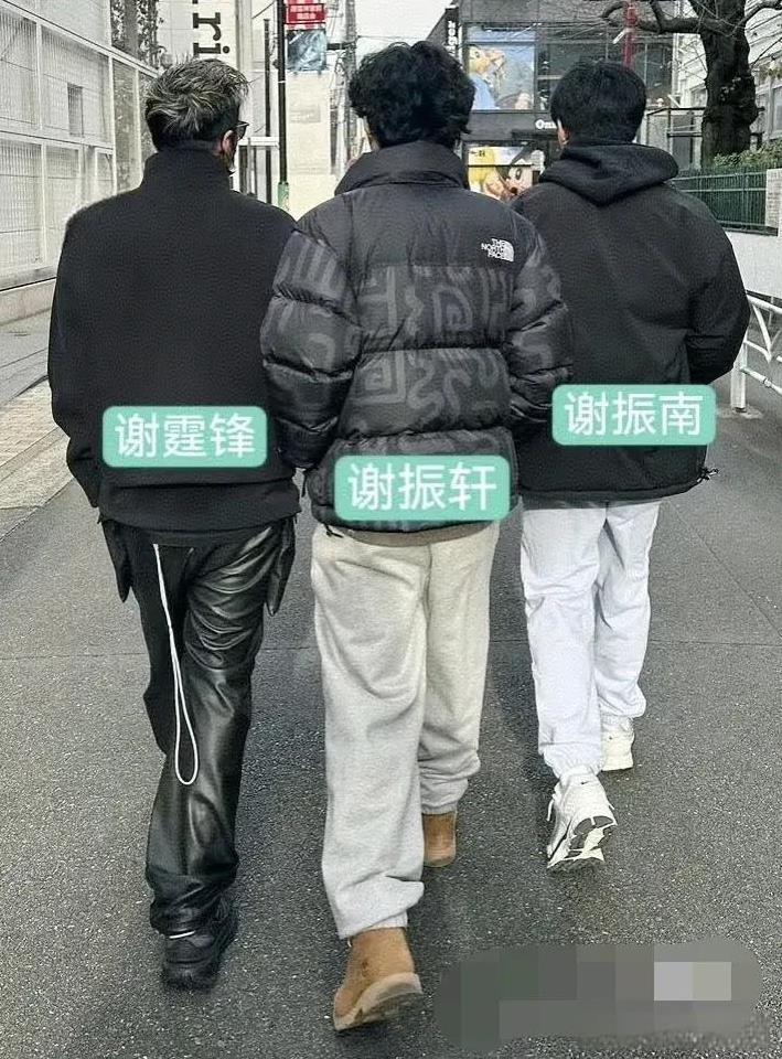 谢霆锋和两个儿子散步照曝光。
近日，谢霆锋妹妹谢婷婷分享的照片中，谢霆锋与两个儿