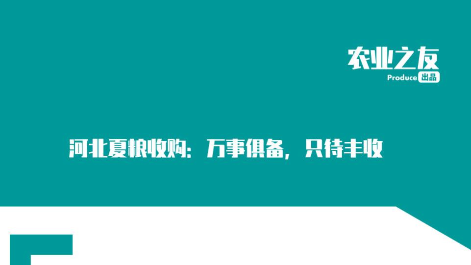 河北夏粮收购：万事俱备，只待丰收