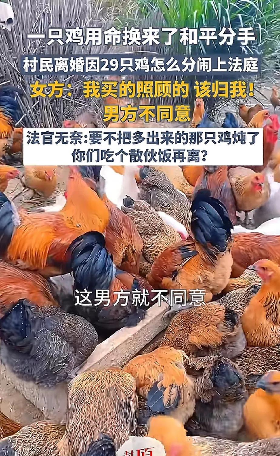 四川广安，男子和妻子离婚，他们的离婚财产就是29只鸡、22只鹅和2只鸭子，家禽有