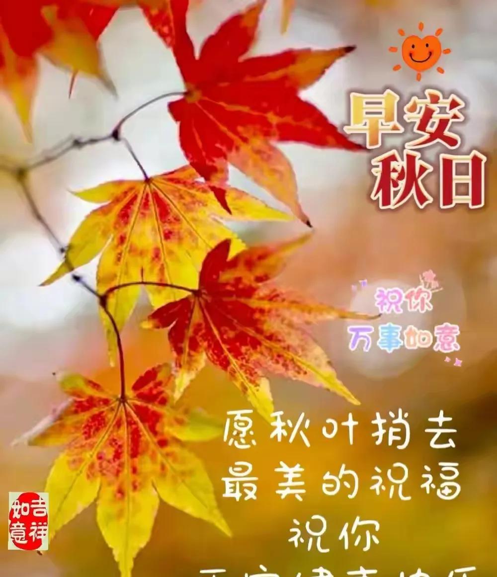 又到秋风送爽时
丹桂飘香如约至
片片枫叶染山林
杏叶缤纷如赋诗
[玫瑰]
晨光熹