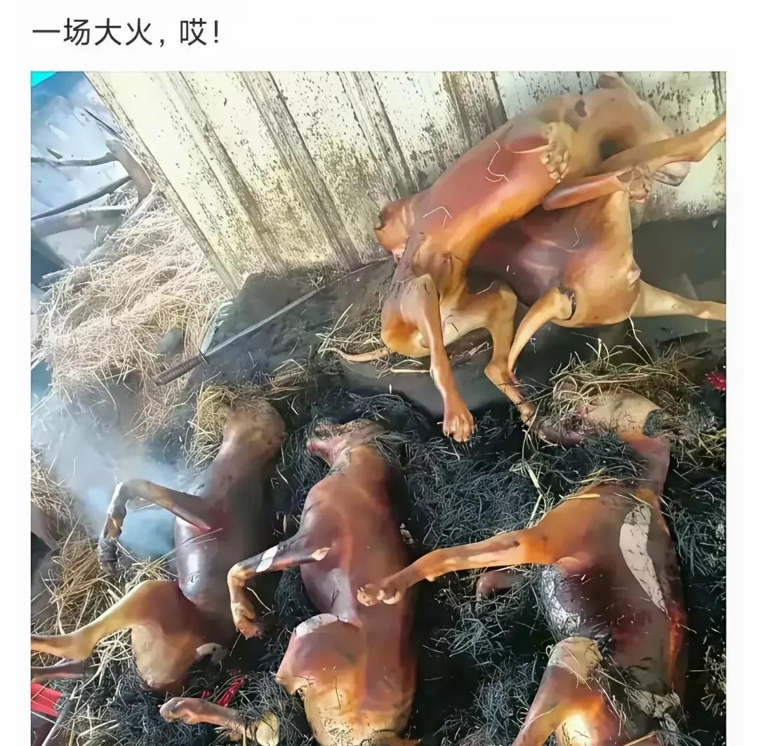 这火候掌握得不错 是个大厨了得了的