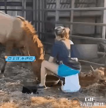 典型的喂不熟，白眼狼，没良心。
