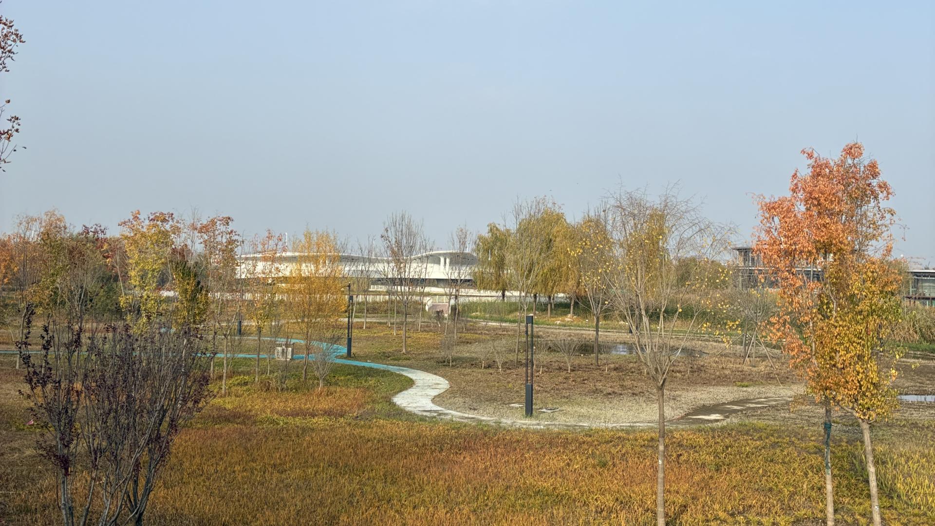 2025乙巳蛇年每日通盛及各生肖运势11月24日