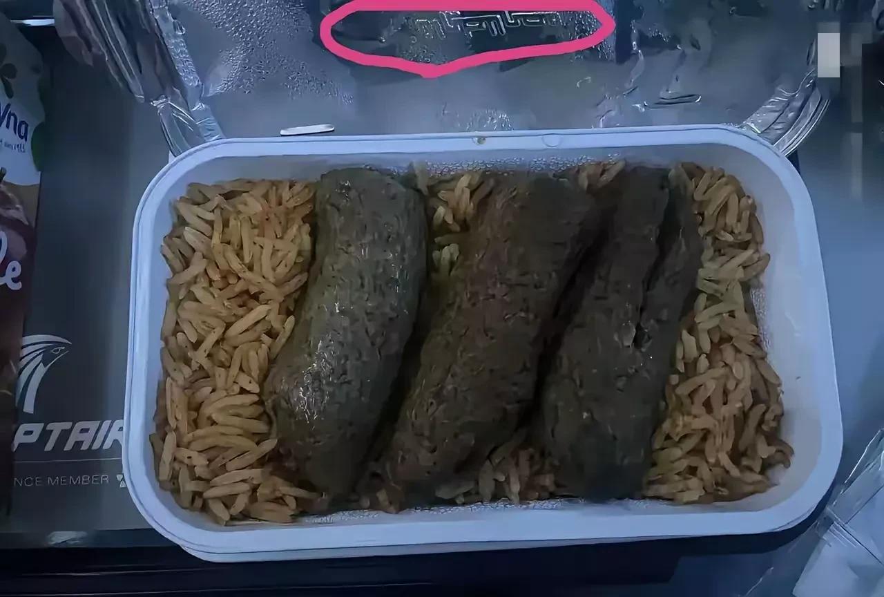 男子坐飞机去了一趟印度，他拍下了印度航班提供的飞机餐。他说这品相实在无法下口，硬