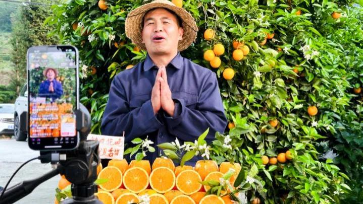 返乡创业潮正在进行时