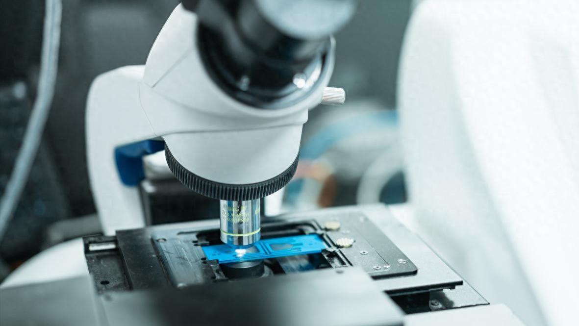 Bamtone MS90：当金相显微镜遇见AI，测量效率直线飙升