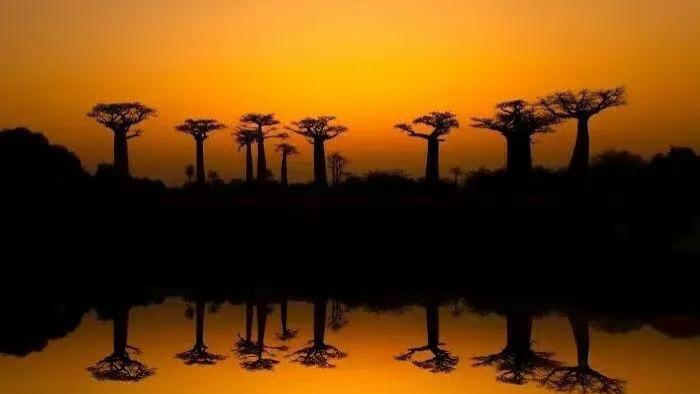 老厂停产二十余载职工未安置：社保权益谁来托底？